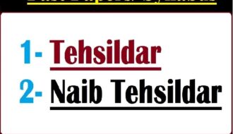 Tehsildar naib Tehsildar Papers